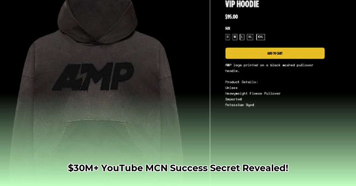 what-is-amp-net-worth